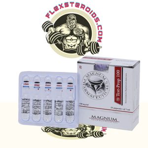 MAGNUM TEST-PROP 100 10 ampoules 日本でのオンライン購入 - flexsteroids.com|Magnum Test-Prop 100 販売用合法ステロイド