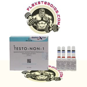 TESTO-NON-1 日本でのオンライン購入 - flexsteroids.com|Testo-Non-1 販売用合法ステロイド
