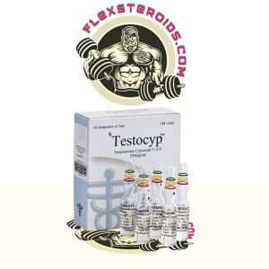 TESTOCYP 10 ampoules 日本でのオンライン購入 - flexsteroids.com|Testocyp 販売用合法ステロイド