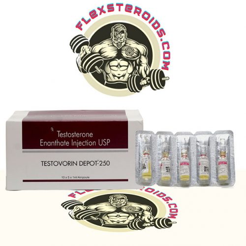 Testosterone enanthate 10 ampoules (250mg/ml) online